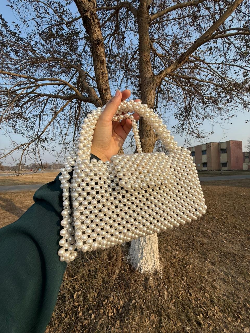 Lulu Mini Pearl Handcrafted Bag - Image 2